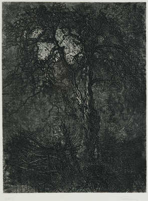 Плавинский Дмитрий Петрович. Деревья